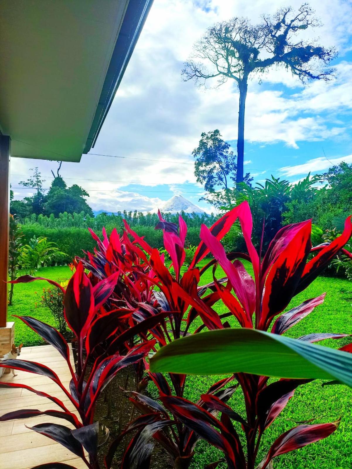 Villa Ceiba La Fortuna Luaran gambar